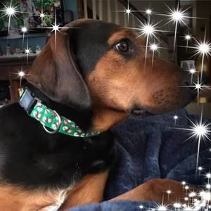 Meet your Posher, Cathy